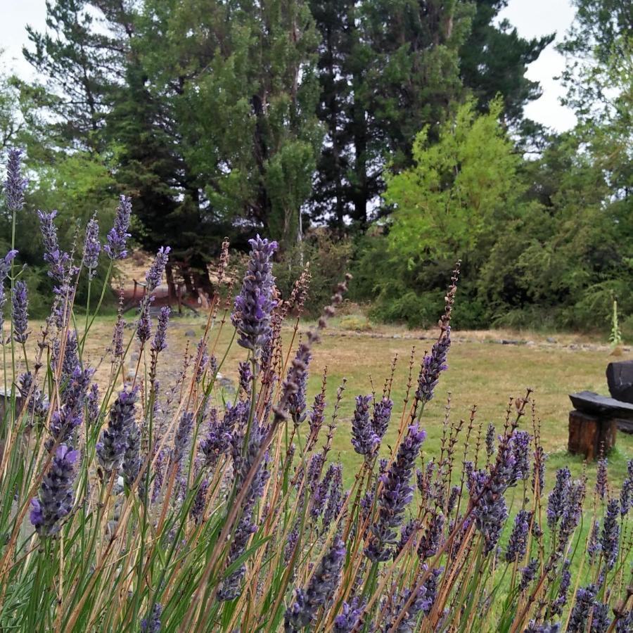 Estancia La Serena Περίτο Μορένο Εξωτερικό φωτογραφία