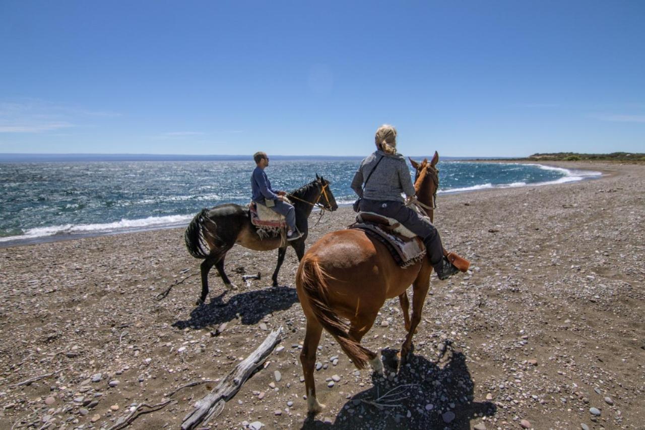 Estancia La Serena Περίτο Μορένο Εξωτερικό φωτογραφία