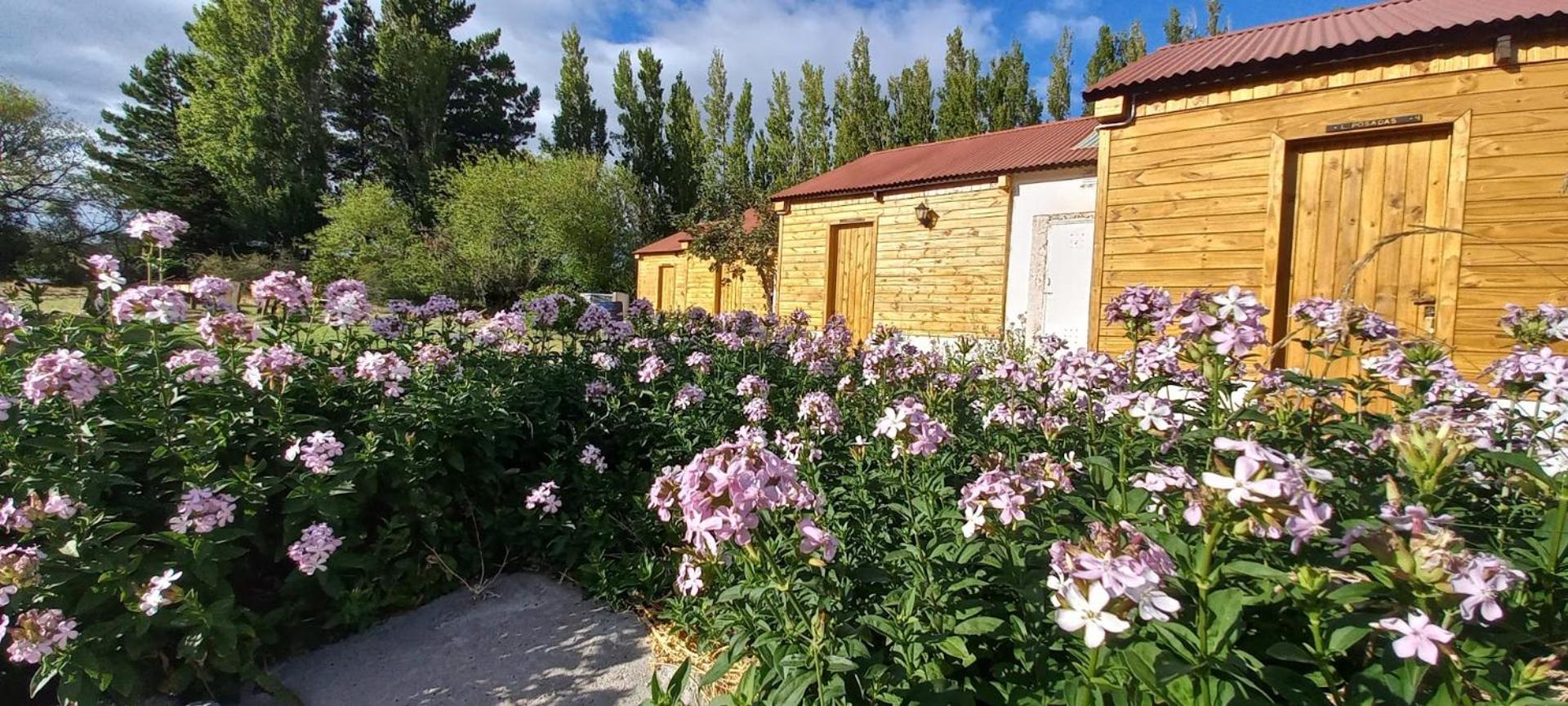 Estancia La Serena Περίτο Μορένο Εξωτερικό φωτογραφία