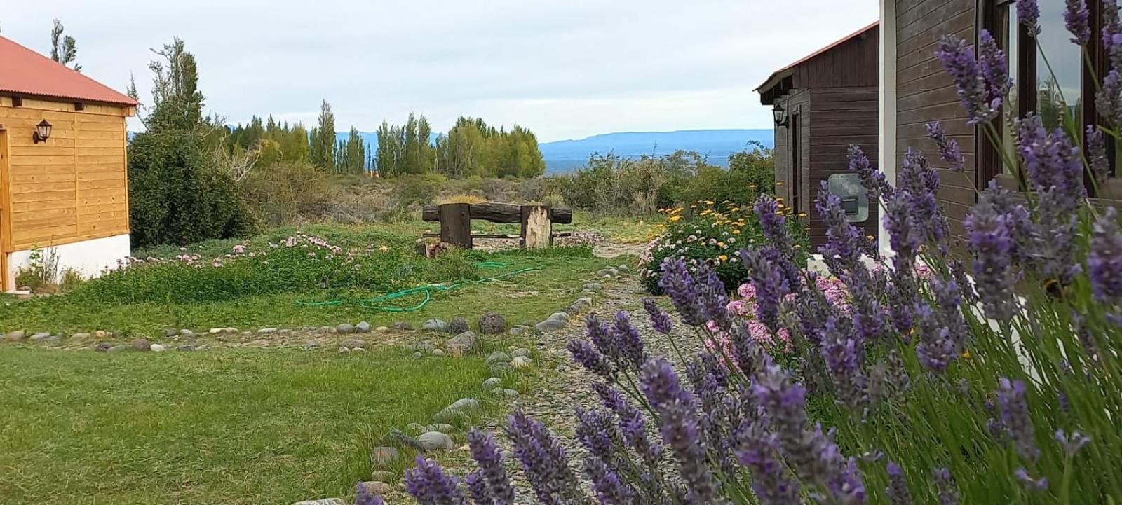 Estancia La Serena Περίτο Μορένο Εξωτερικό φωτογραφία